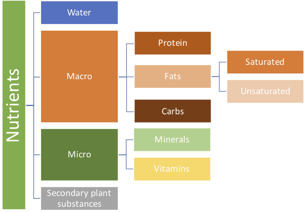 overview chart about dietary nutrient grous. On high level these are Water, macro and micro nutrients, and secondary plant substances.