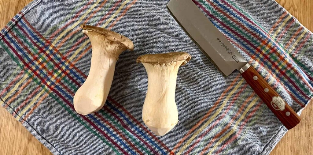 Oyster mushrooms. Knife for scale