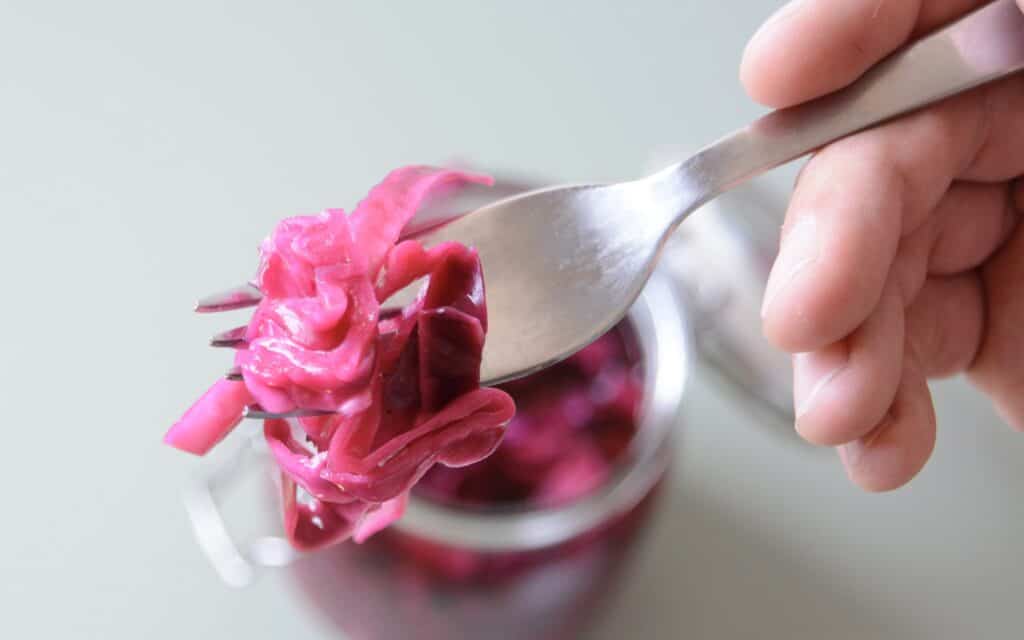 fork holing a small portion of pickled red cabbage